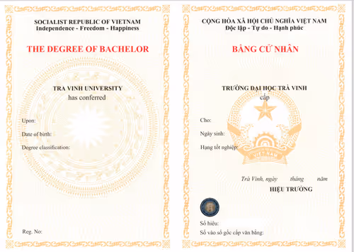 Bằng Cử nhân