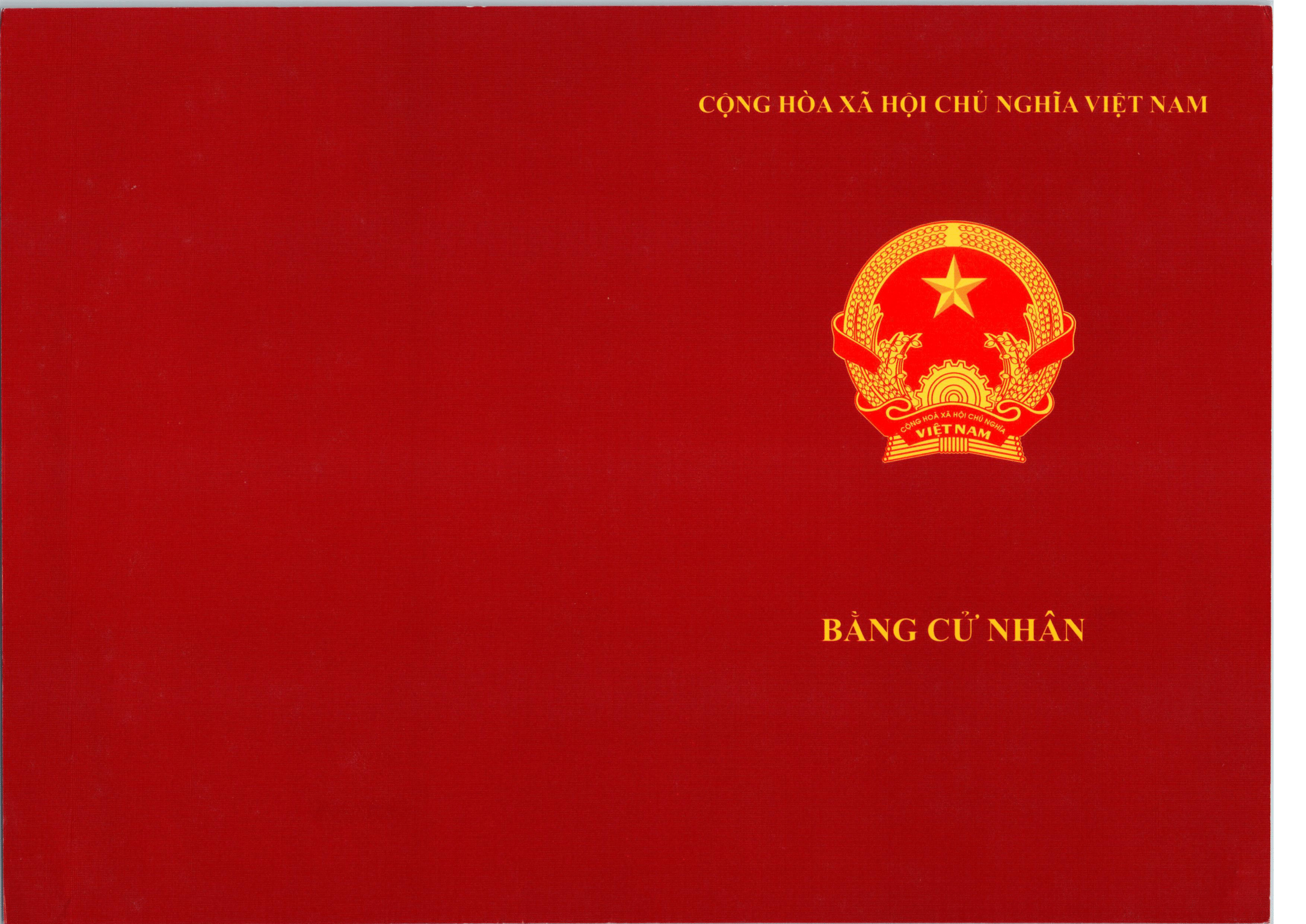 Bằng mặt trước