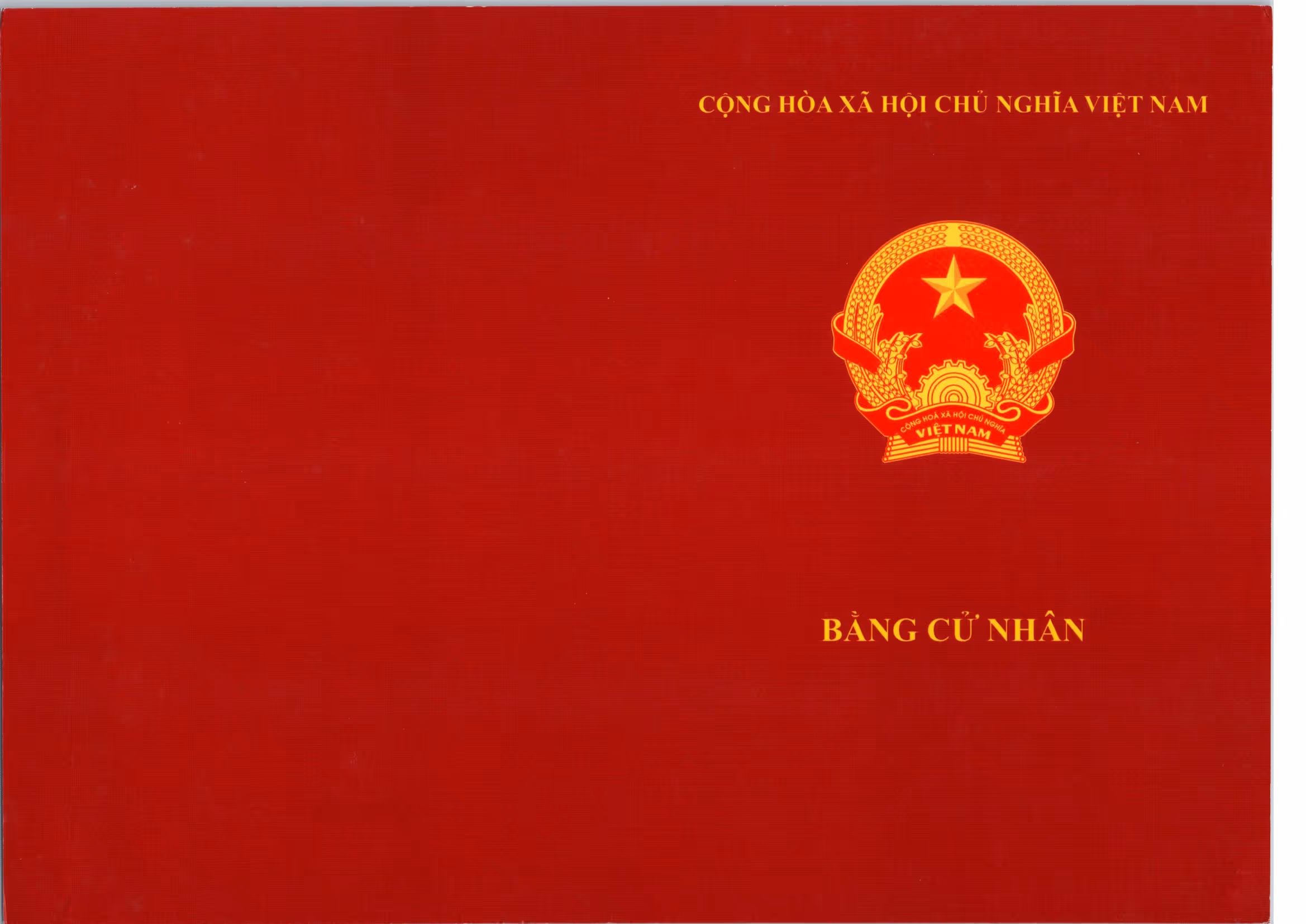 Bằng mặt trước